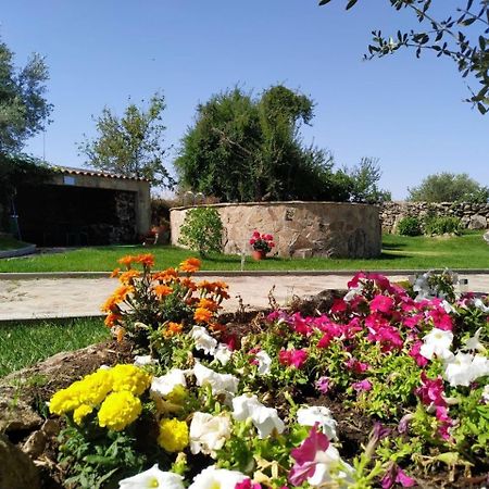 El Lagar Del Abuelo En Los Arribes Del Duero, Badilla, 사모라 외부 사진