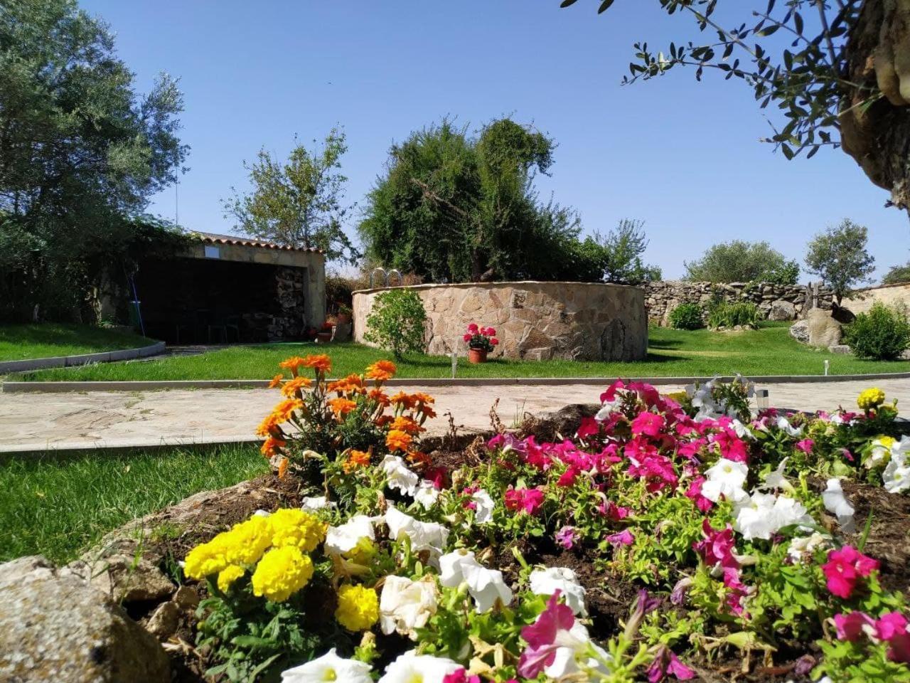 El Lagar Del Abuelo En Los Arribes Del Duero, Badilla, 사모라 외부 사진