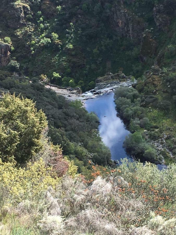 El Lagar Del Abuelo En Los Arribes Del Duero, Badilla, 사모라 외부 사진